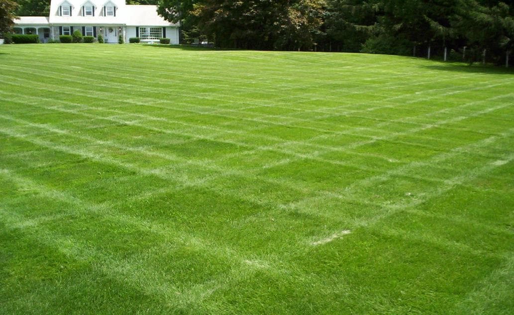 Full Landscaping